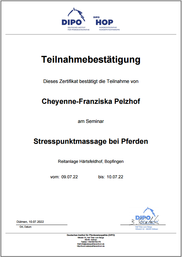 Zertifikat_Stresspunktmassage
