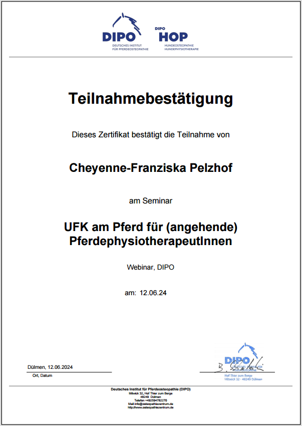 Zertifikat_UFK
